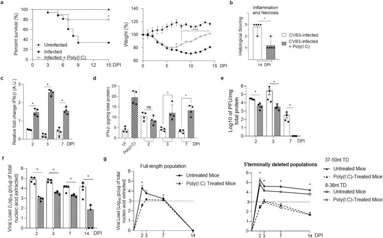 https://cdn.ncbi.nlm.nih.gov/pmc/blobs/8da9/11093299/1bd29936e82b/ppat.1012125.g005.jpg
