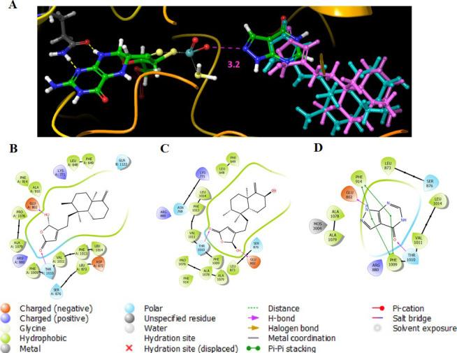 https://cdn.ncbi.nlm.nih.gov/pmc/blobs/8daa/8244894/c9814f9ab36f/pone.0253572.g002.jpg