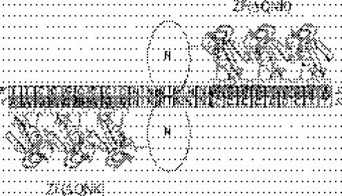 https://cdn.ncbi.nlm.nih.gov/pmc/blobs/8dac/1270952/24ab70dd5308/gki912f5.jpg