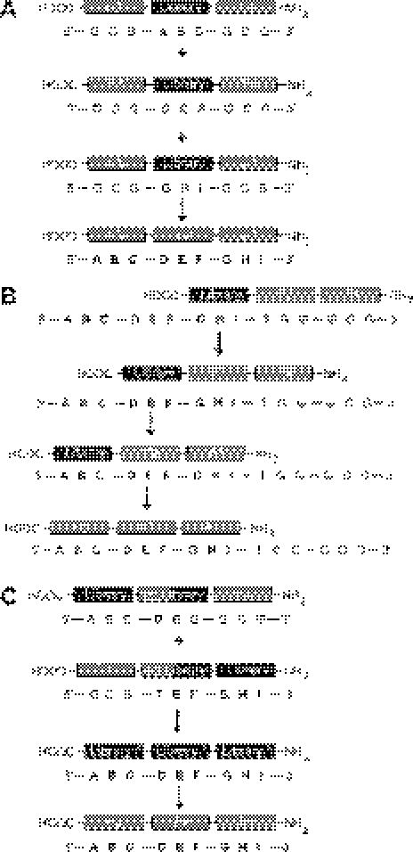 https://cdn.ncbi.nlm.nih.gov/pmc/blobs/8dac/1270952/37bc44f7d5be/gki912f3.jpg