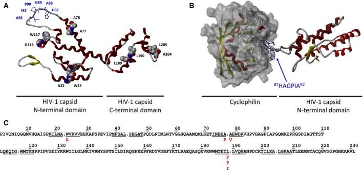 https://cdn.ncbi.nlm.nih.gov/pmc/blobs/8dac/4971840/777d6cc0eaf3/FEB4-6-847-g001.jpg