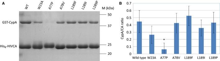 https://cdn.ncbi.nlm.nih.gov/pmc/blobs/8dac/4971840/eaabe2388a23/FEB4-6-847-g005.jpg