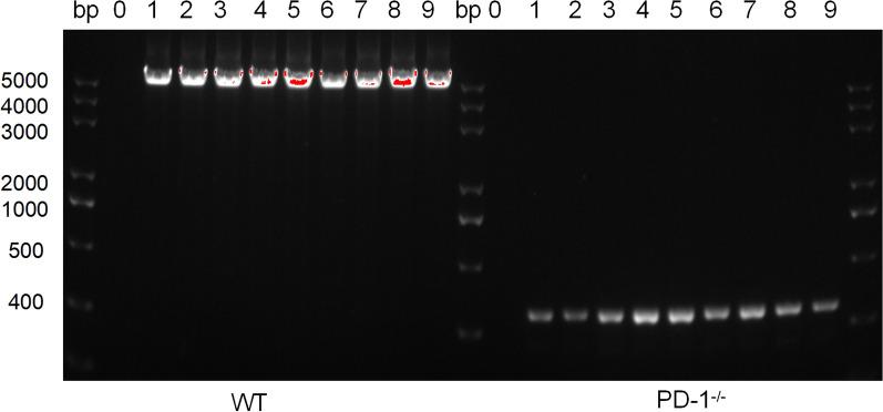 https://cdn.ncbi.nlm.nih.gov/pmc/blobs/8dad/12142987/f4188f049a0a/13071_2025_6854_Fig1_HTML.jpg