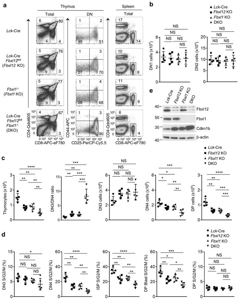 https://cdn.ncbi.nlm.nih.gov/pmc/blobs/8dad/6754294/4de0df8f21c5/nihms-1534916-f0004.jpg