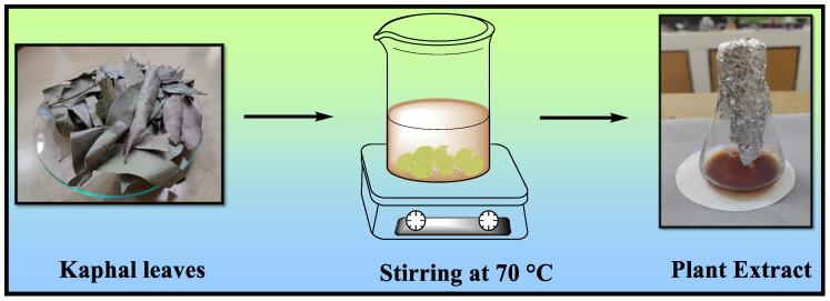 https://cdn.ncbi.nlm.nih.gov/pmc/blobs/8db1/10649474/7f1790b5148d/polymers-15-04339-g002.jpg
