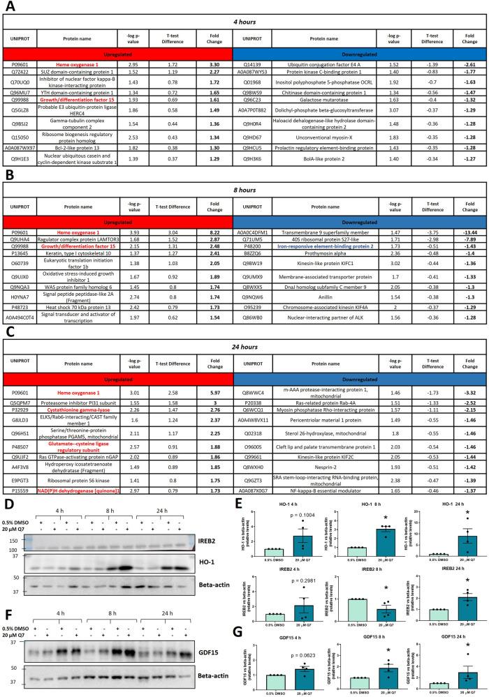 https://cdn.ncbi.nlm.nih.gov/pmc/blobs/8db3/10858877/04ad6561db8a/41420_2023_1773_Fig2_HTML.jpg