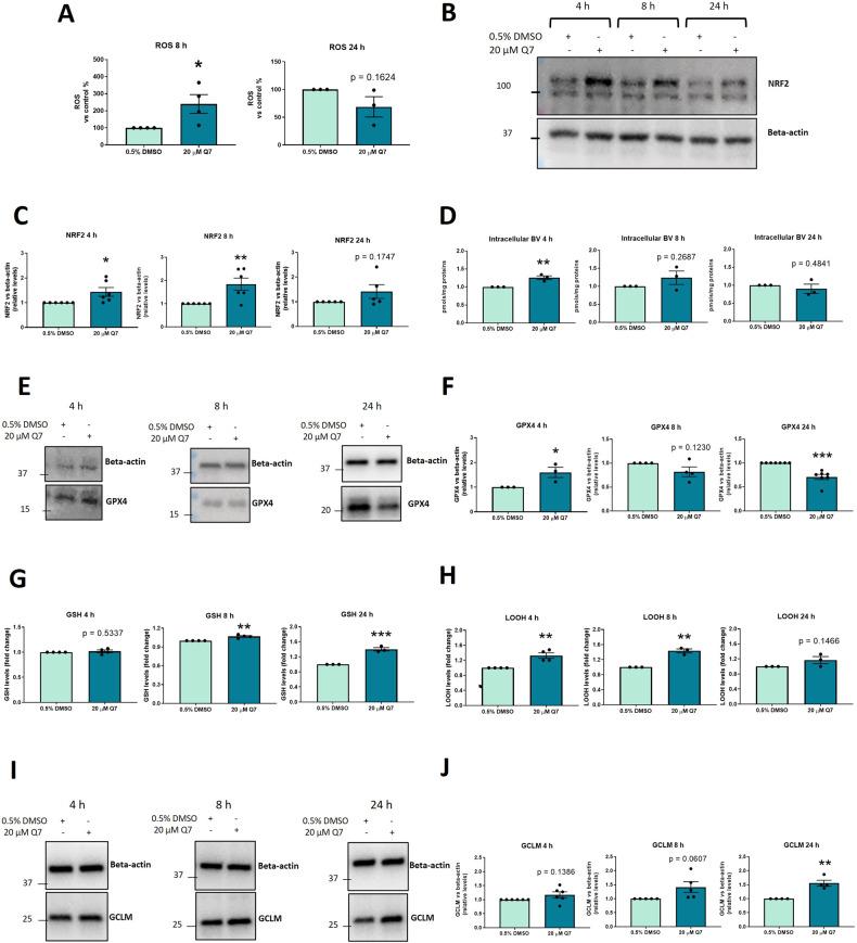 https://cdn.ncbi.nlm.nih.gov/pmc/blobs/8db3/10858877/1007477ff279/41420_2023_1773_Fig3_HTML.jpg