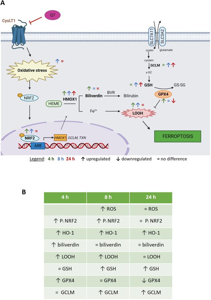 https://cdn.ncbi.nlm.nih.gov/pmc/blobs/8db3/10858877/303489f36987/41420_2023_1773_Fig8_HTML.jpg
