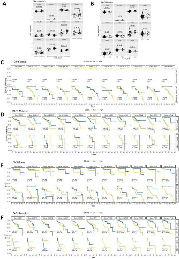https://cdn.ncbi.nlm.nih.gov/pmc/blobs/8db3/10858877/3ba860252f43/41420_2023_1773_Fig6_HTML.jpg