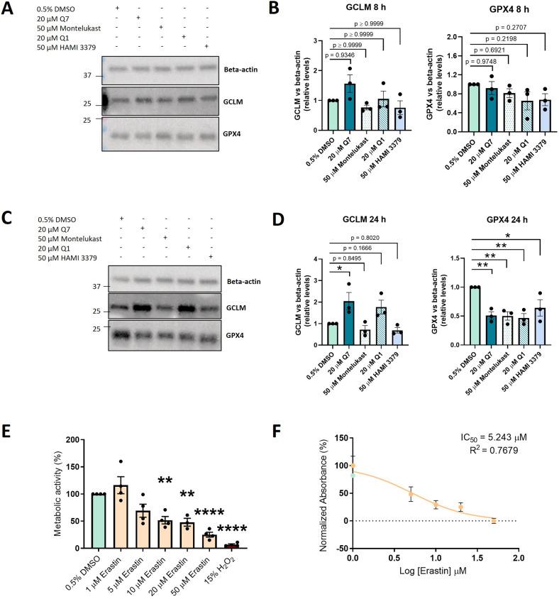 https://cdn.ncbi.nlm.nih.gov/pmc/blobs/8db3/10858877/6dbbd7809e1b/41420_2023_1773_Fig4_HTML.jpg