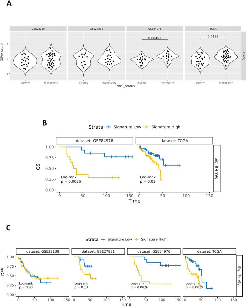 https://cdn.ncbi.nlm.nih.gov/pmc/blobs/8db3/10858877/e524171fe4de/41420_2023_1773_Fig7_HTML.jpg