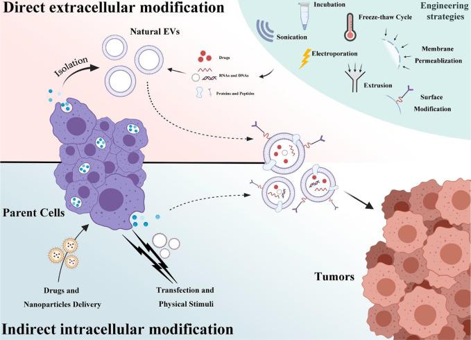 https://cdn.ncbi.nlm.nih.gov/pmc/blobs/8db4/7897670/ab9802f73b6c/fonc-10-606906-g002.jpg