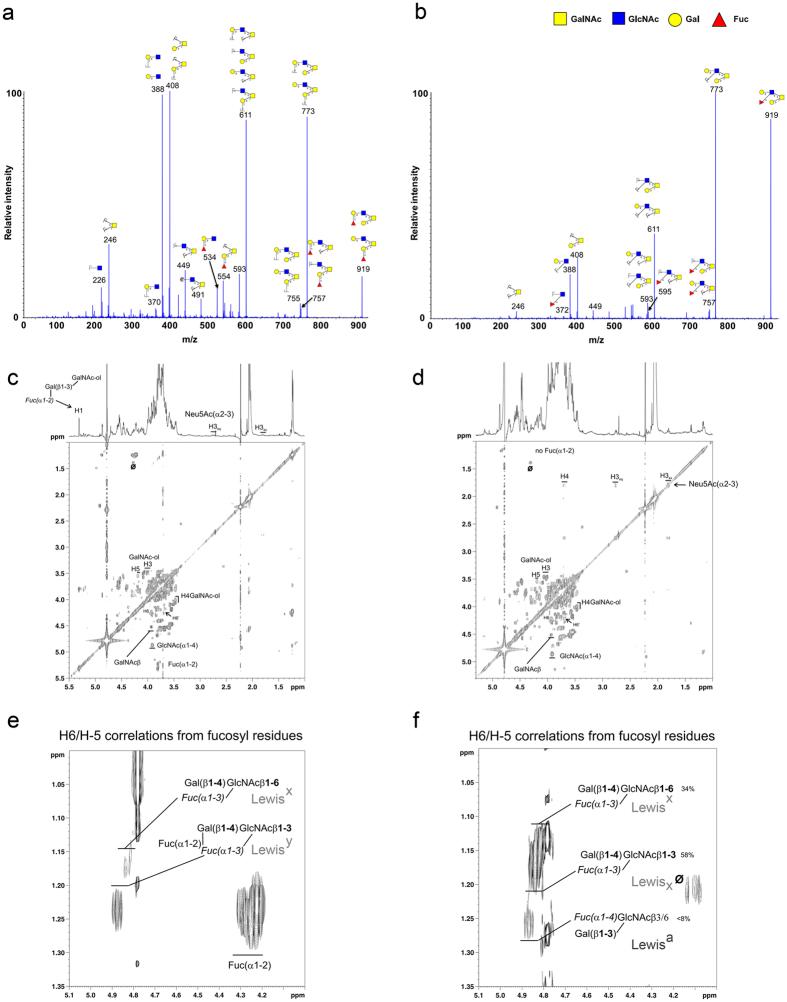 https://cdn.ncbi.nlm.nih.gov/pmc/blobs/8db6/4861914/51a3f41baa43/srep25575-f4.jpg