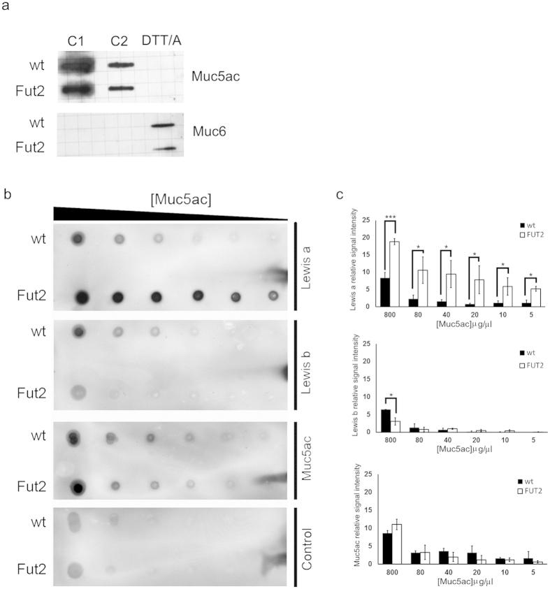 https://cdn.ncbi.nlm.nih.gov/pmc/blobs/8db6/4861914/d0e9d54c5878/srep25575-f3.jpg