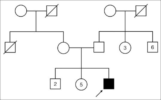 https://cdn.ncbi.nlm.nih.gov/pmc/blobs/8db6/6380146/3a35c290c0e2/OJO-12-37-g001.jpg