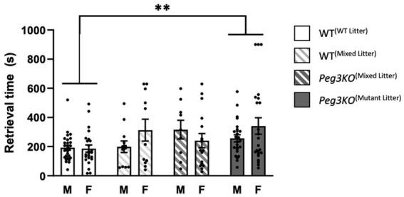 https://cdn.ncbi.nlm.nih.gov/pmc/blobs/8dba/11002209/e6c8373fe71b/fnins-18-1374781-g003.jpg