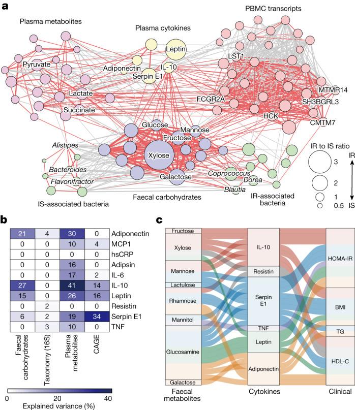 https://cdn.ncbi.nlm.nih.gov/pmc/blobs/8dbb/10499599/6f023f624517/41586_2023_6466_Fig3_HTML.jpg