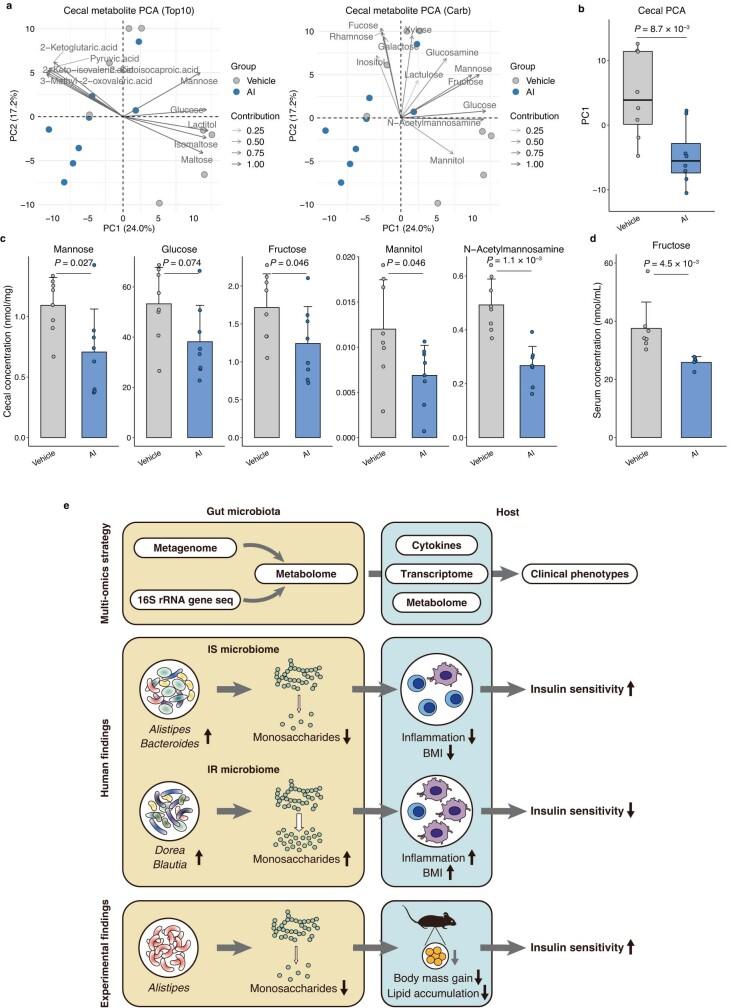 https://cdn.ncbi.nlm.nih.gov/pmc/blobs/8dbb/10499599/92e0a2264c33/41586_2023_6466_Fig14_ESM.jpg