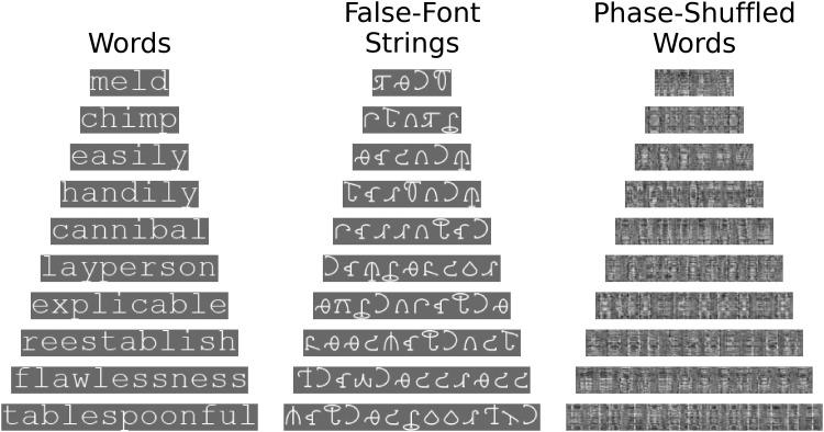 https://cdn.ncbi.nlm.nih.gov/pmc/blobs/8dbb/12247556/b7a4360cb74b/imag_a_00131_fig4.jpg