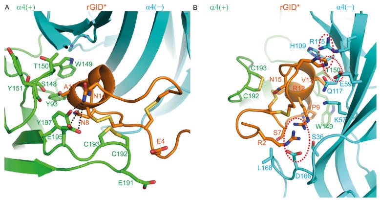 https://cdn.ncbi.nlm.nih.gov/pmc/blobs/8dbb/8469569/f61b0cb16c3c/marinedrugs-19-00482-g005.jpg