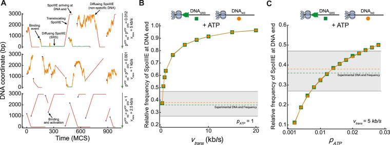 https://cdn.ncbi.nlm.nih.gov/pmc/blobs/8dbe/5869595/f1aaa34542b6/41598_2018_23400_Fig4_HTML.jpg