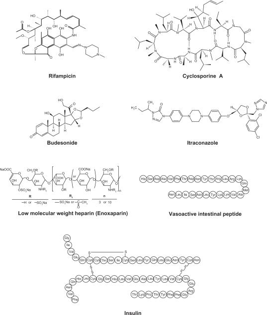 https://cdn.ncbi.nlm.nih.gov/pmc/blobs/8dbf/2802043/68462504a39e/ijn-4-299f1.jpg