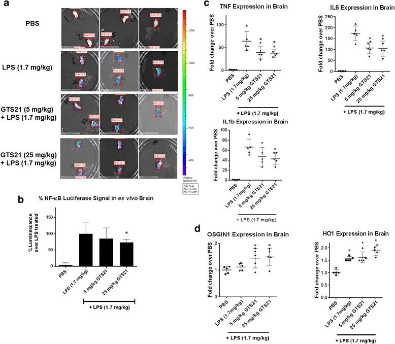 https://cdn.ncbi.nlm.nih.gov/pmc/blobs/8dbf/5615458/3f81792c1626/12974_2017_967_Fig8_HTML.jpg