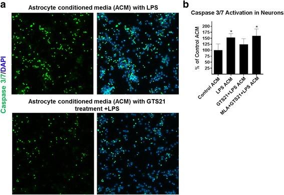 https://cdn.ncbi.nlm.nih.gov/pmc/blobs/8dbf/5615458/4c6199a7f5e3/12974_2017_967_Fig7_HTML.jpg