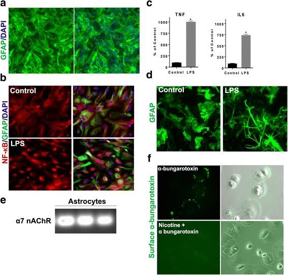 https://cdn.ncbi.nlm.nih.gov/pmc/blobs/8dbf/5615458/5b8033d5e401/12974_2017_967_Fig1_HTML.jpg