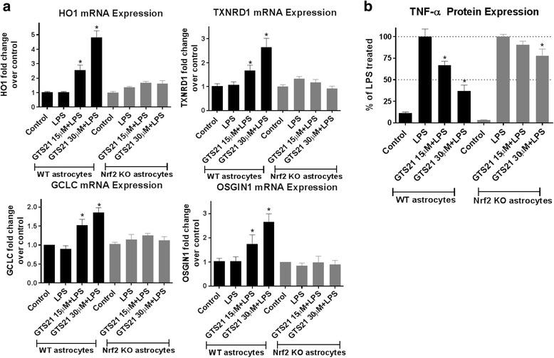 https://cdn.ncbi.nlm.nih.gov/pmc/blobs/8dbf/5615458/75a168752f9c/12974_2017_967_Fig6_HTML.jpg