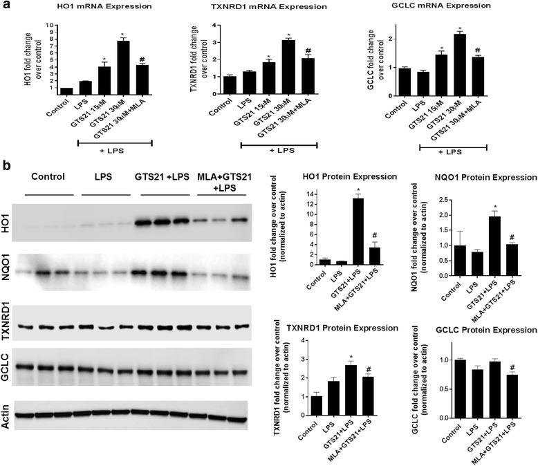 https://cdn.ncbi.nlm.nih.gov/pmc/blobs/8dbf/5615458/f4174f74eced/12974_2017_967_Fig5_HTML.jpg