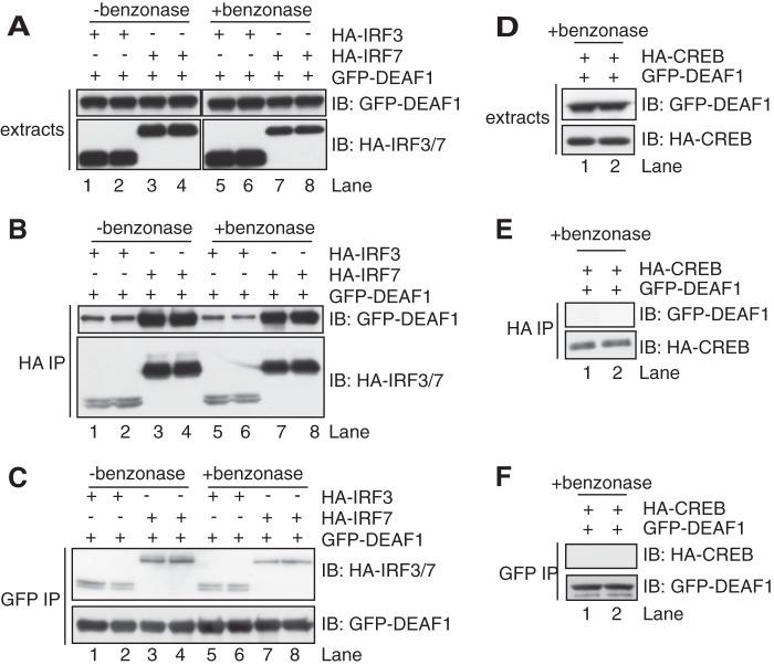 https://cdn.ncbi.nlm.nih.gov/pmc/blobs/8dc0/3750155/16d5eed2f609/zbc0381359590006.jpg