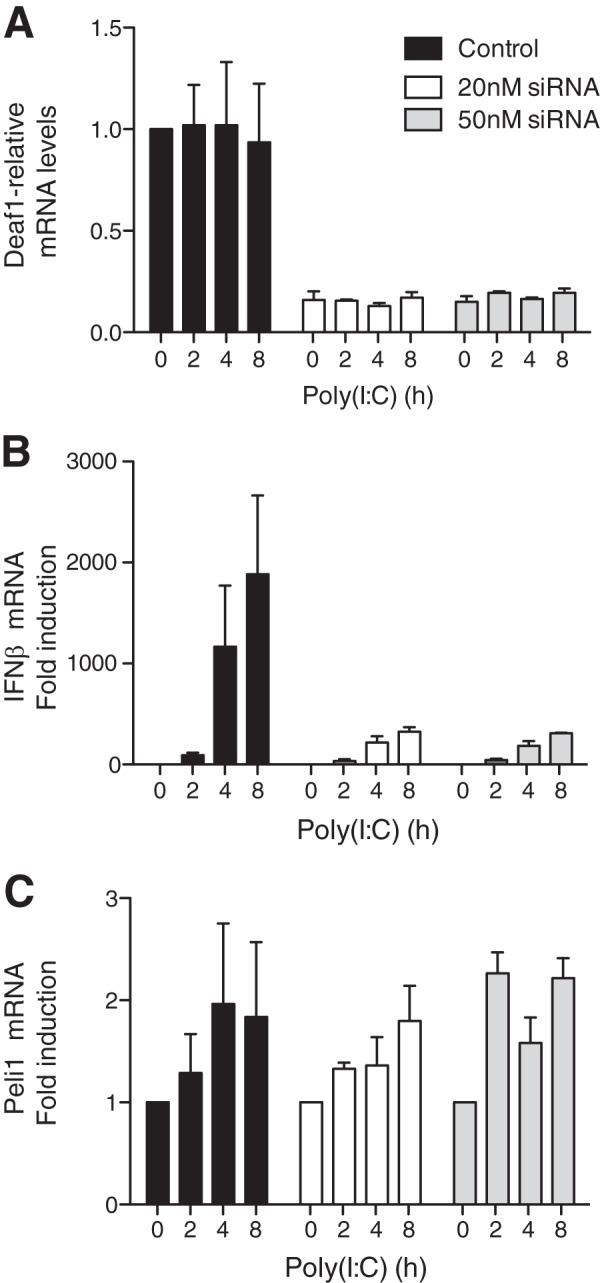 https://cdn.ncbi.nlm.nih.gov/pmc/blobs/8dc0/3750155/35902d65d5af/zbc0381359590008.jpg