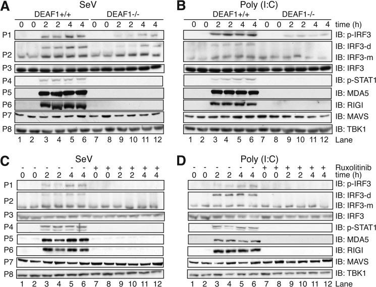 https://cdn.ncbi.nlm.nih.gov/pmc/blobs/8dc0/3750155/6fda939e24dd/zbc0381359590007.jpg