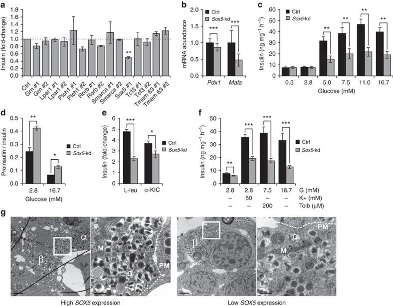 https://cdn.ncbi.nlm.nih.gov/pmc/blobs/8dc0/5467166/b6826e71de9a/ncomms15652-f2.jpg