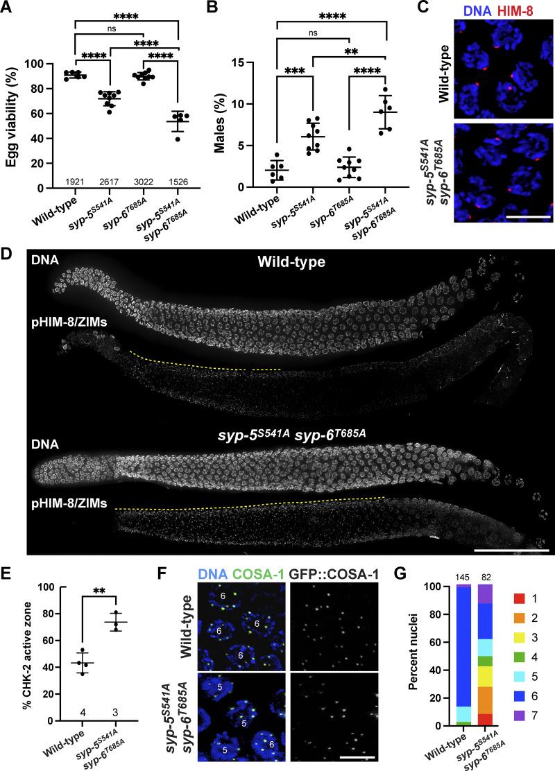 https://cdn.ncbi.nlm.nih.gov/pmc/blobs/8dc1/11648704/163f07335077/jcb_202408092_figs2.jpg