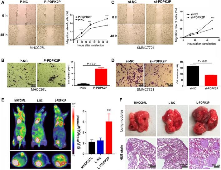 https://cdn.ncbi.nlm.nih.gov/pmc/blobs/8dc3/6763783/c8d982b97ac8/MOL2-13-2246-g003.jpg