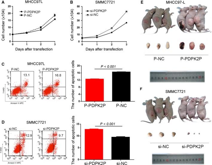 https://cdn.ncbi.nlm.nih.gov/pmc/blobs/8dc3/6763783/f0c2f1e2bec6/MOL2-13-2246-g002.jpg