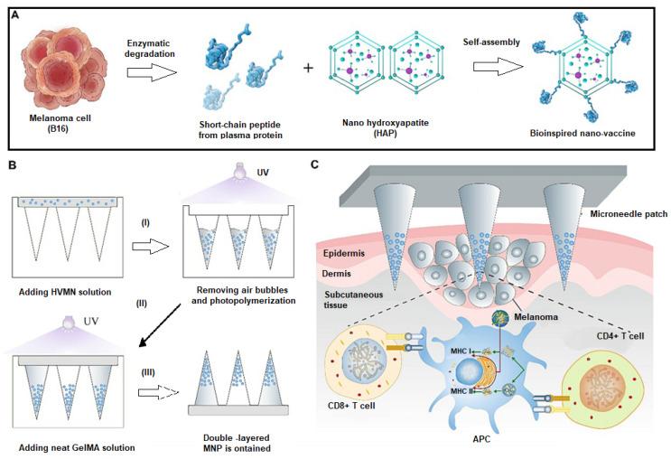 https://cdn.ncbi.nlm.nih.gov/pmc/blobs/8dc4/11764567/c163c7448726/gels-11-00007-g004.jpg