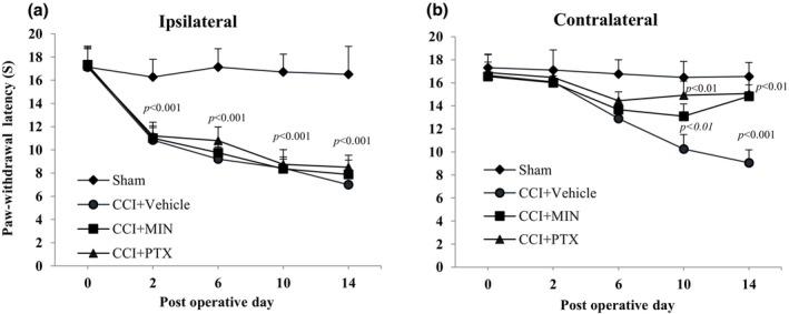 https://cdn.ncbi.nlm.nih.gov/pmc/blobs/8dc4/12018164/4779e07694a9/PHY2-13-e70318-g005.jpg
