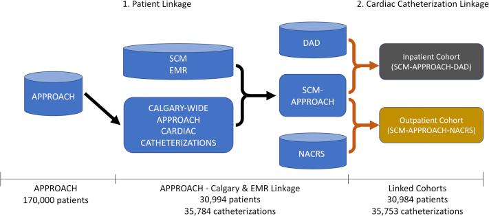 https://cdn.ncbi.nlm.nih.gov/pmc/blobs/8dc5/8134941/c363b2502392/gr1.jpg