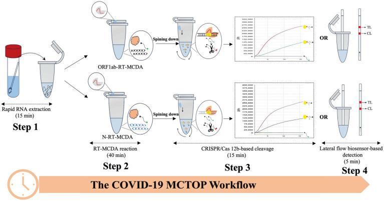 https://cdn.ncbi.nlm.nih.gov/pmc/blobs/8dc8/11659237/d362131177d7/fmicb-15-1503356-g001.jpg