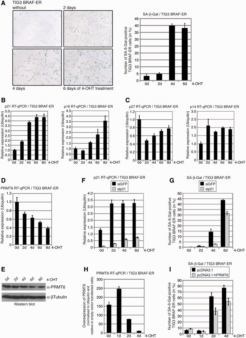 https://cdn.ncbi.nlm.nih.gov/pmc/blobs/8dc8/3479209/47b62fdab522/gks767f5p.jpg