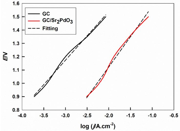 https://cdn.ncbi.nlm.nih.gov/pmc/blobs/8dc8/7312865/42d6abc89c3d/ijms-21-03785-g002.jpg