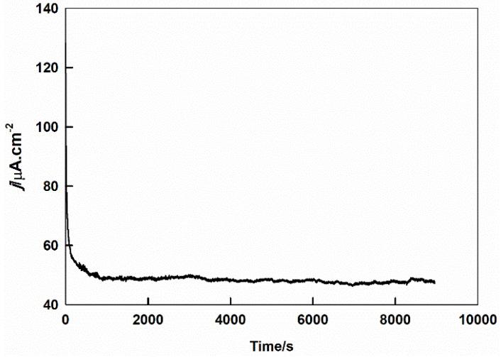 https://cdn.ncbi.nlm.nih.gov/pmc/blobs/8dc8/7312865/94d0c5663ea5/ijms-21-03785-g005.jpg