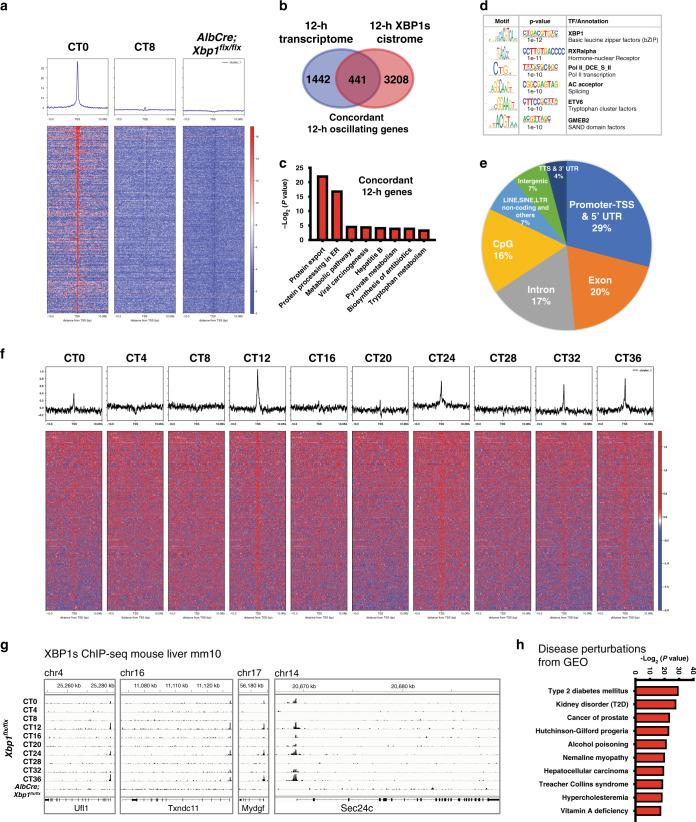 https://cdn.ncbi.nlm.nih.gov/pmc/blobs/8dc8/7718229/28082406675c/41467_2020_20028_Fig3_HTML.jpg