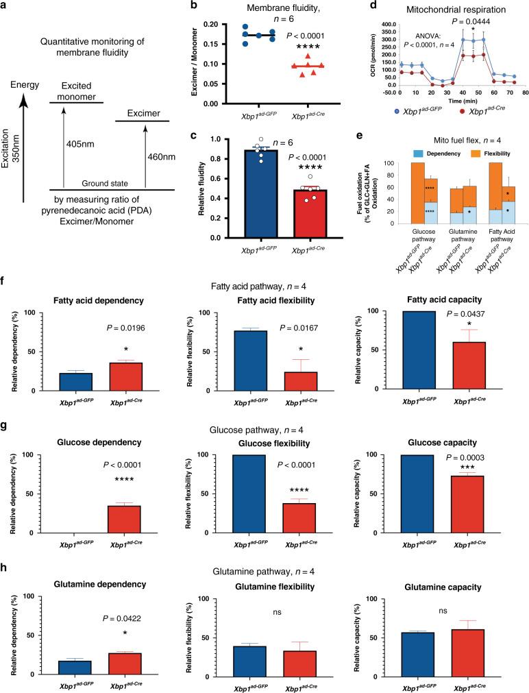 https://cdn.ncbi.nlm.nih.gov/pmc/blobs/8dc8/7718229/4bf38139c8e3/41467_2020_20028_Fig5_HTML.jpg