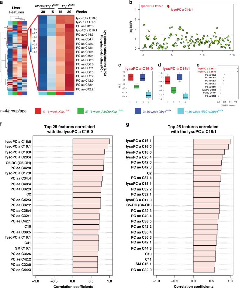 https://cdn.ncbi.nlm.nih.gov/pmc/blobs/8dc8/7718229/bfbab57dc3af/41467_2020_20028_Fig4_HTML.jpg