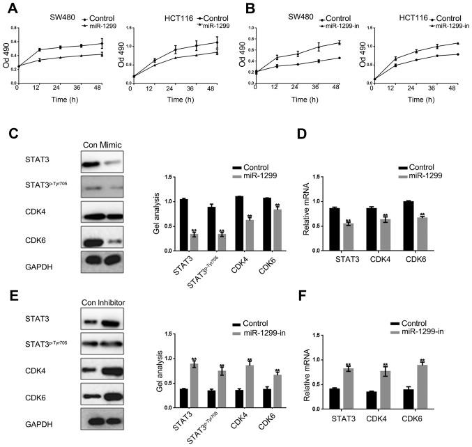 https://cdn.ncbi.nlm.nih.gov/pmc/blobs/8dc9/5442392/a0b91f96efbc/OR-37-06-3227-g02.jpg