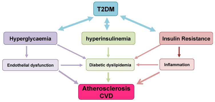 https://cdn.ncbi.nlm.nih.gov/pmc/blobs/8dc9/7503727/2a48c2ae4e59/ijms-21-06275-g006.jpg